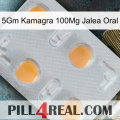 5Gm Kamagra 100Mg Oral Jelly 24